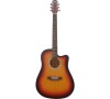 ADCE-10/TS WESTERN GUITAR CRAFTER