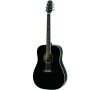 HD-221B WESTERN GUITAR HAWTHORNE