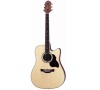 DE-8/N W/SB-DG WESTERN GUITAR CRAFTER