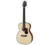 HO-550{G WESTERN GUITAR HAWTHORNE