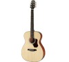 HO-420 WESTERN GUITAR HAWTHORNE