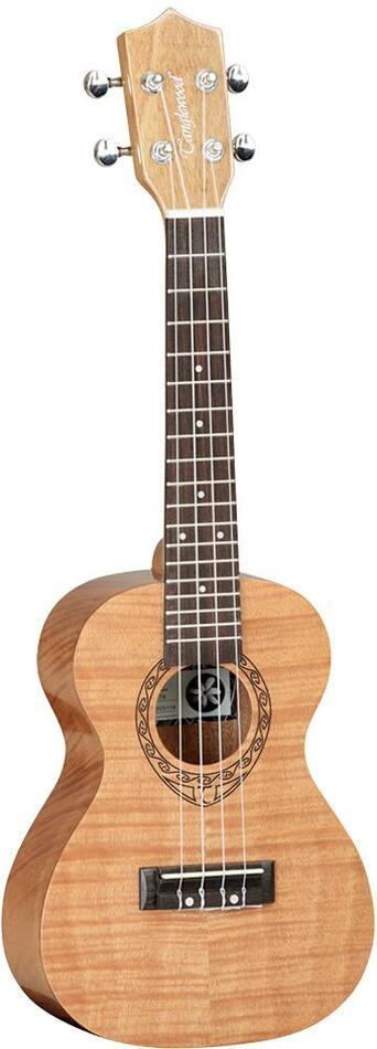 TWT6 UKULELE CONCERT TANGLEWOOD ROMANZA