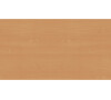SAA 4510 SIT-STAND DESKA STOLU Stell