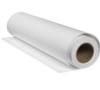 Epson EPSON Pick Up Roller (B12B819251)
