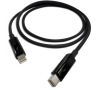 QNAP Thunderbolt 2 cable - 1.0m (CAB-TBT10M)