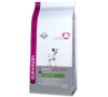 EUKANUBA Jack Russell 2kg