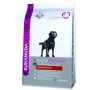 EUKANUBA Labrador Retriever 2,5kg