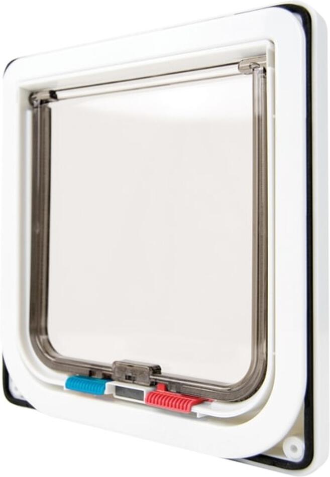 Zadní strana Reedog Medium White