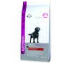 EUKANUBA Labrador Retriever 12kg