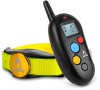 Patpet 310