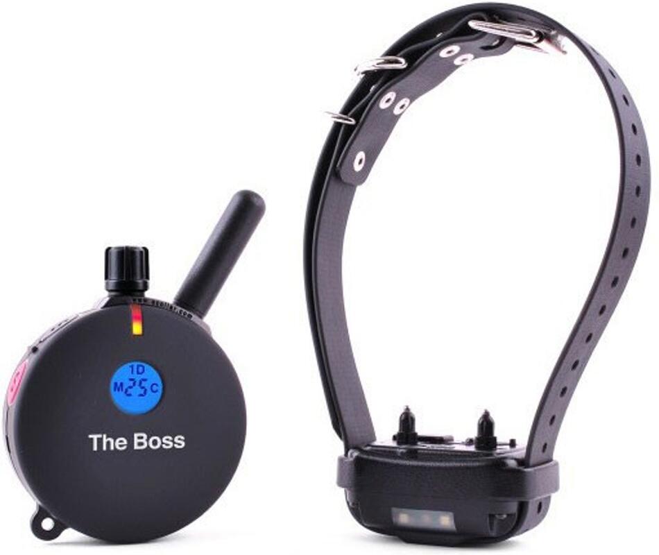 E-collar The Boss ET-800 - pro 1 psa