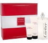 Toaletní voda Cartier Déclaration, 100 ml