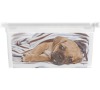 KIS C box Puppy and Kitten - XXS