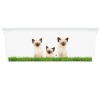 KIS C box Puppy and Kitten - XS