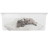 KIS C box Puppy and Kitten - S