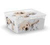KIS C box Puppy and Kitten - M