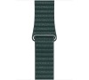 Watch Acc/44/Forest Green Leather Loop - M (MTH72ZM/A)
