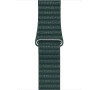 Watch Acc/44/Forest Green Leather Loop - L (MTH82ZM/A)