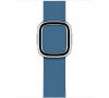 Watch Acc/40/Cape Cod Blue Modern Buckle - M (MTQM2ZM/A)