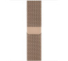 Watch Acc/40/Gold Milanese Loop (MTU42ZM/A)
