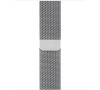 Watch Acc/44/Milanese Loop (MTU62ZM/A)