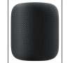 Apple HomePod Space Gray (MQHW2B/A)