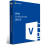 Visio Pro 2019 SK (D87-07445)