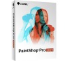 PaintShop Pro 2019 Eng (PSP2019MLMBEU)