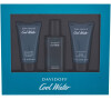 Toaletní voda Davidoff Cool Water, 40 ml (SET1)