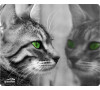Podložka pod myš Speed Link SILKpad, Cat