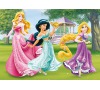 WD Princezny 24D flor puzzle