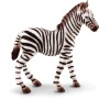 Zebra hříbě