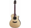 GLXE-3000CD/RS W/HC-DG GUITAR CRAFTER