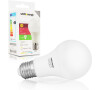 WE LED žárovka SMD2835 A60 E27 10W studená bílá (10220)