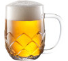 Půllitr Tescoma myBEER Lupulus