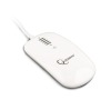 GEMBIRD Touch mouse, Phoenix series, white (MUS-PTU-001-W)