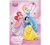 Karton P+P Blok A5 Princess 3-422A