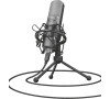 Trust mikrofón TRUST GXT 242 Lance Streaming Microphone (22614)