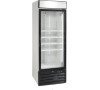 Tefcold NF 2500 G - P