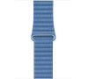 Watch Acc/44/Cornflower Leather Loop - Medium (MV2X2ZM/A)