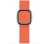 Watch Acc/40/Sunset Modern Buckle - Medium (MV6R2ZM/A)