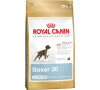 Royal Canin BREED Boxer Junior 3 kg