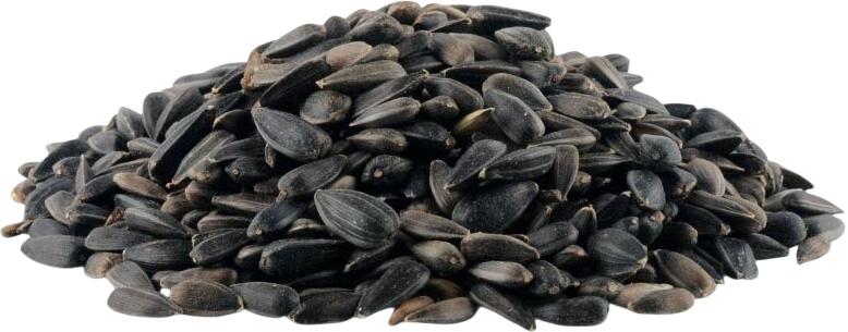 Slunečnice černá Avicentra 1kg