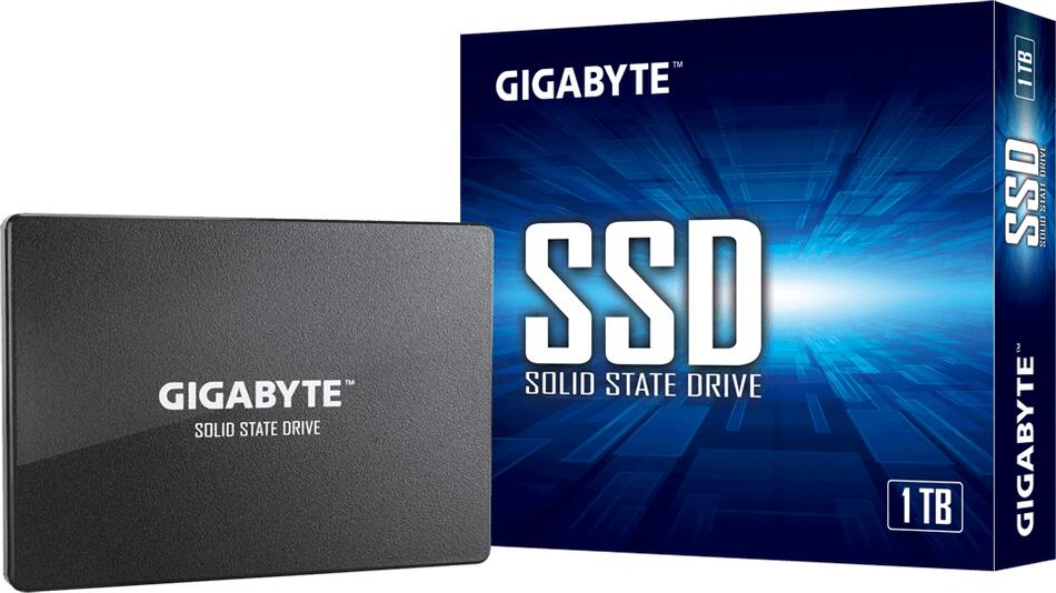 Gigabyte SSD 1TB (GP-GSTFS31100TNTD)