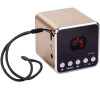 Soundbox TR533G EMOS