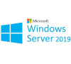 HPE MS WS19 Essentials CZ OEM (P11070-221)