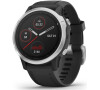 Smart hodinky GARMIN fénix 6S Silver Black