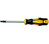 Šroubovák TORX TX30 x 100mm PROTECO