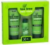 Šampon Xpel Tea Tree, 100 ml
