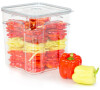 Status GASTRO 478504, 8l